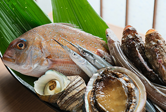 Carefully selected seasonable vegetables from Onomichi