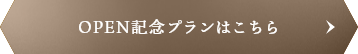 OPEN記念プランはこちら